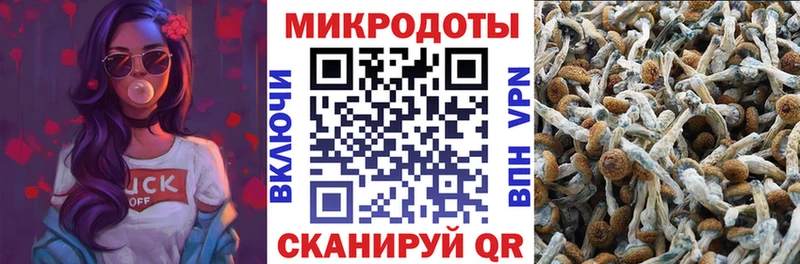 МЕГА маркетплейс Кувшиново Псилоцибиновые грибы ЛСД