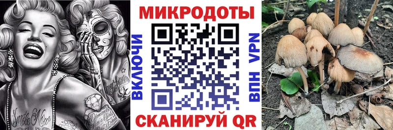 Галлюциногенные грибы Psilocybe Кувшиново